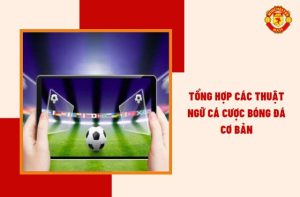 Thuật ngữ cá cược bóng đá