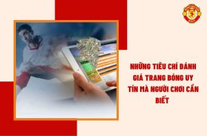 Những Tiêu Chí Đánh Giá Trang Bóng Uy Tín Mà Người Chơi Cần Biết