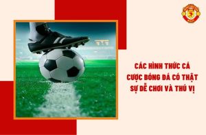 các hình thức cá cược bóng đá